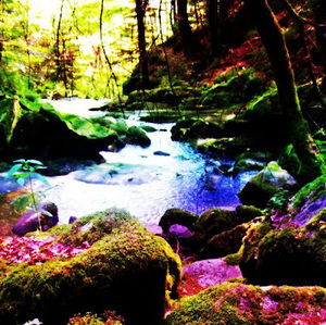 Meet your Posher, Kristal